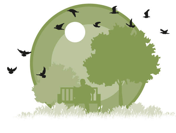 Green graphic with tree, bench and birds