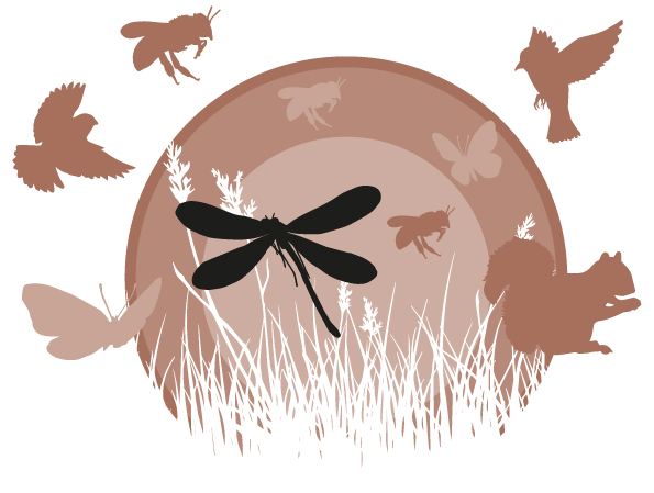 Brown graophic with birds
